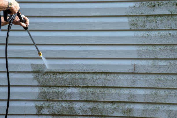 Best Shed Removal  in Wading River, NY